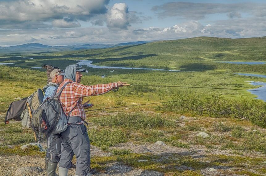 the ultimate guide highlights experts